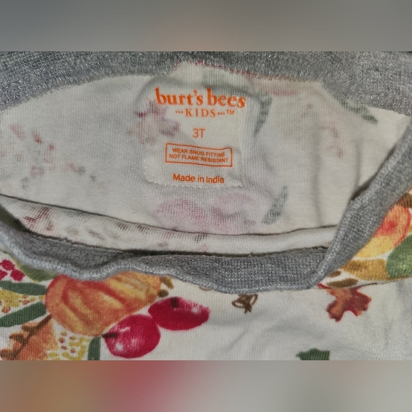 Burt's Bees Kids Boy Girl Thanksgiving Celebration Organic 2pc PJ Set Sz 3T - Picture 3 of 16
